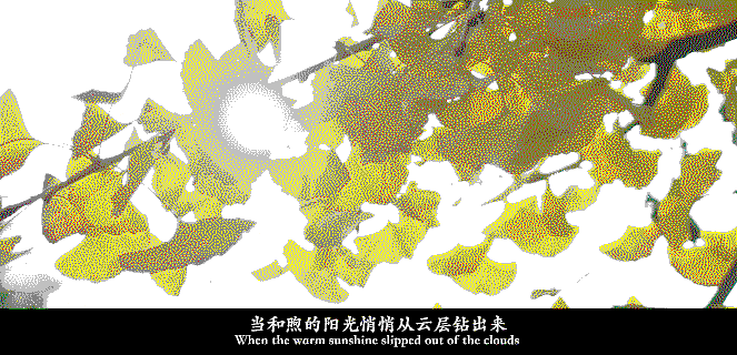 15199872778456.gif